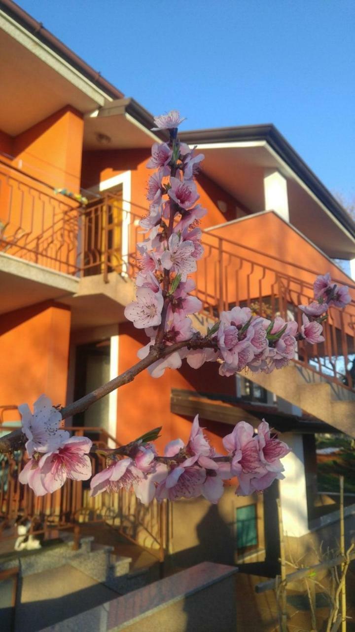 Apartment Zita With 1 Bedroom In Relaxing Surroundings Near Umag אומאג מראה חיצוני תמונה
